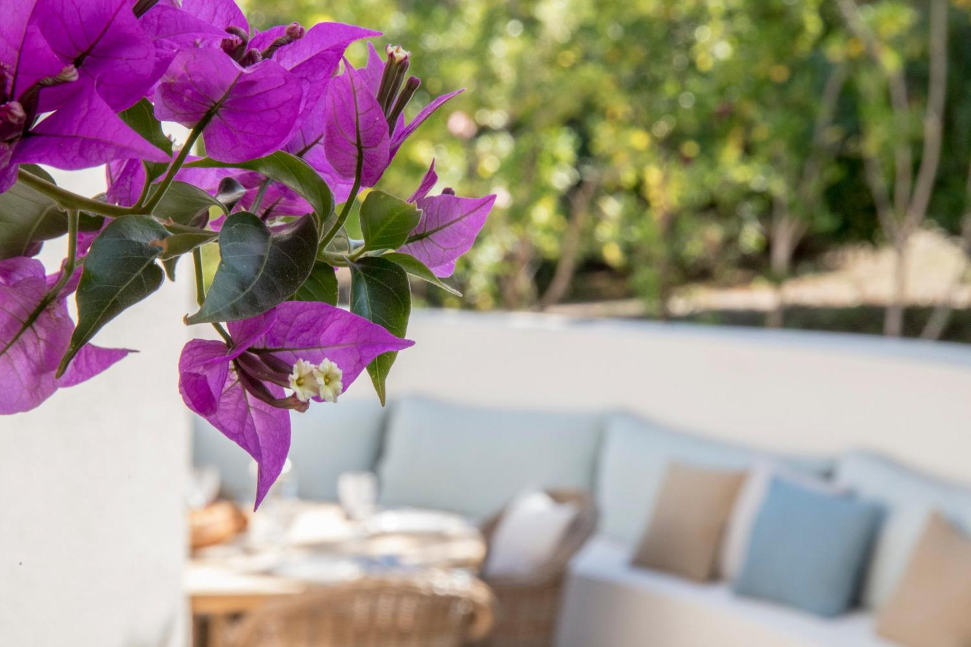 Boutique hôtel Château Rouher Propriano (Corsica) Exterior foto